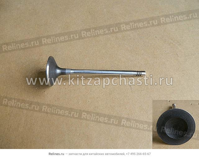 Клапан выпускной Tank 300 1007012XEC71